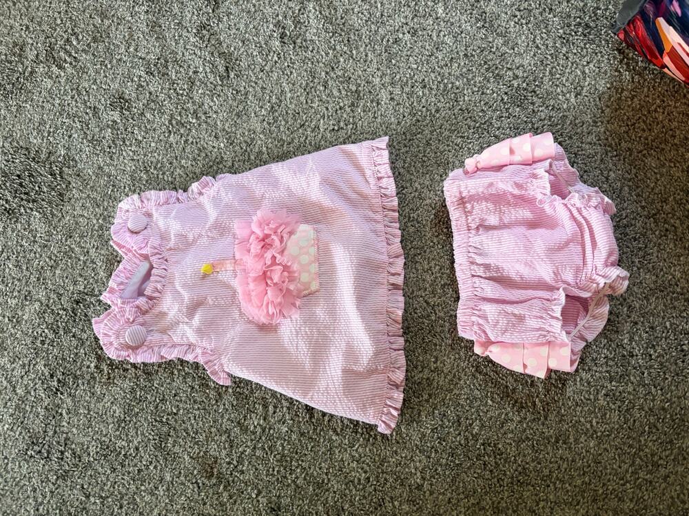 Mud Pie Baby girls 12-18 month 1 Cupcake ruffle outfit